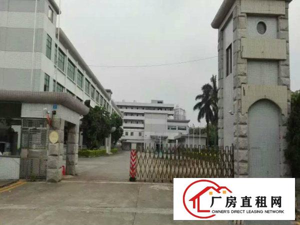 
塘厦迎宾主干道旁1楼4380平方高7米带牛角可分租