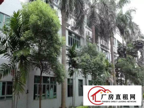 
塘厦迎宾主干道旁1楼4380平方高7米带牛角可分租