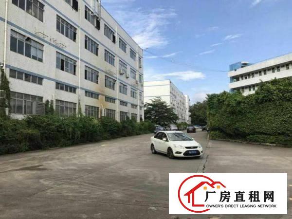 
塘厦镇中心新出楼上1200平方现成装修租金13元
