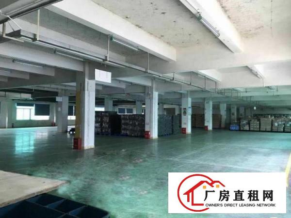 
塘厦镇中心新出楼上1200平方现成装修租金13元