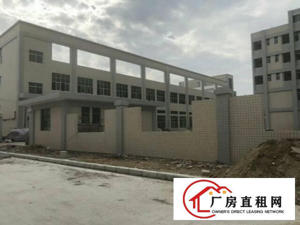 
塘厦莲湖市场旁新建全新独院厂房4000平方水电齐全
