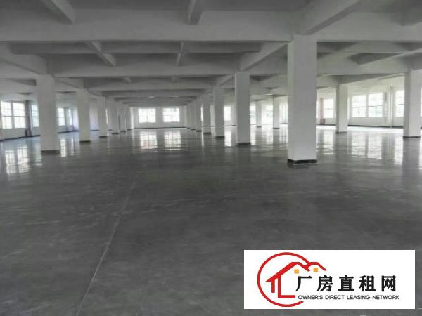 
塘厦莲湖市场旁新建全新独院厂房4000平方水电齐全