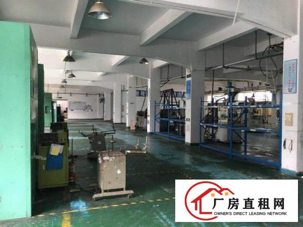 
塘厦桥陇新出标准一楼厂房700平米，精装修办公室