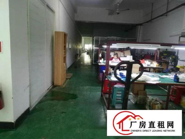 
塘厦东深二线旁新空楼上带装修厂房800平米带办公室