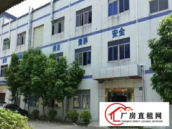 
塘厦田心广场旁新出二楼、带消防喷淋厂房2000平米