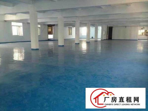 
塘厦莲湖市场新出楼上带装修厂房1200平米，形象好