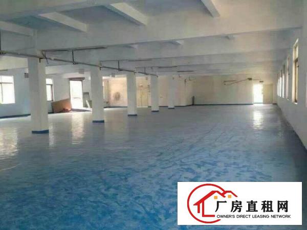 
塘厦莲湖市场新出楼上带装修厂房1200平米，形象好