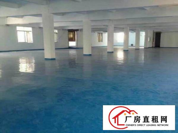 
塘厦莲湖市场新出楼上带装修厂房1200平米，形象好