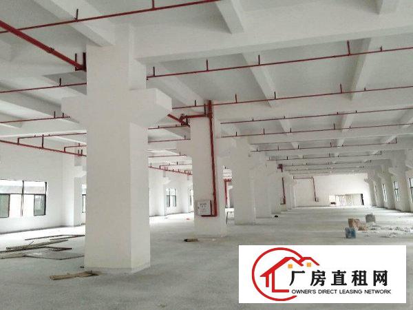 
塘厦高速口全新独院厂房7600平方，空地超大可分租