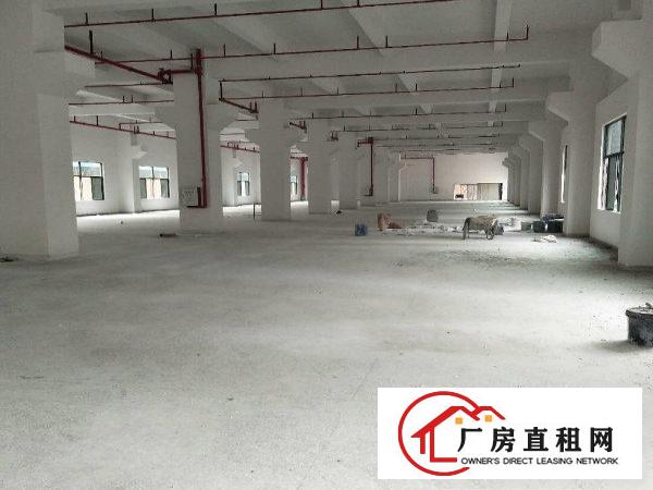 
塘厦高速口全新独院厂房7600平方，空地超大可分租
