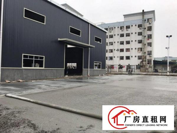 
塘厦新建8米高带隔热层独栋钢构厂房967平方即租