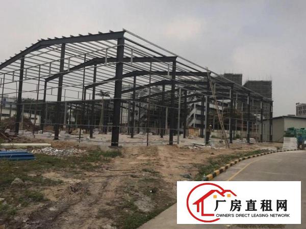 
塘厦新建8米高带隔热层独栋钢构厂房967平方即租