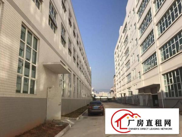 
塘厦高大上工业区带装修二楼厂房3108平方整层招租
