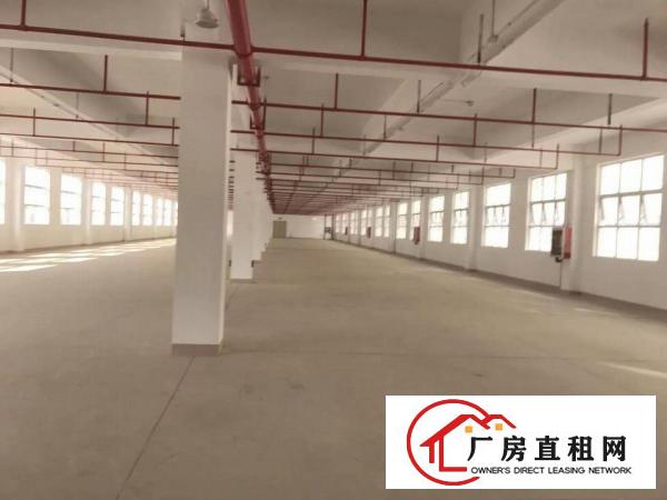 
塘厦高大上工业区带装修二楼厂房3108平方整层招租