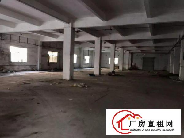 
塘厦大坪独院内新出标准一楼厂房1522平方火爆招租