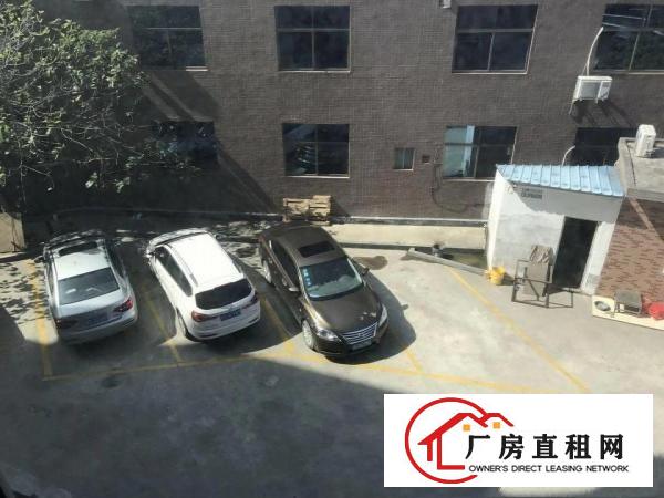 
塘厦新出精装二楼厂房1206平方超实惠招租