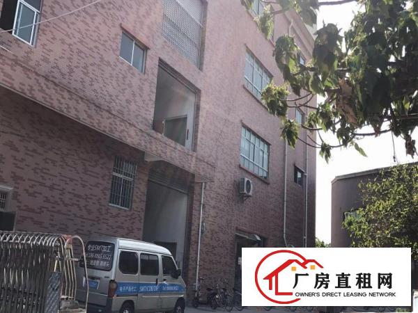 
塘厦新出精装二楼厂房1206平方超实惠招租