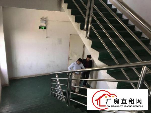 
塘厦新出精装二楼厂房1206平方超实惠招租