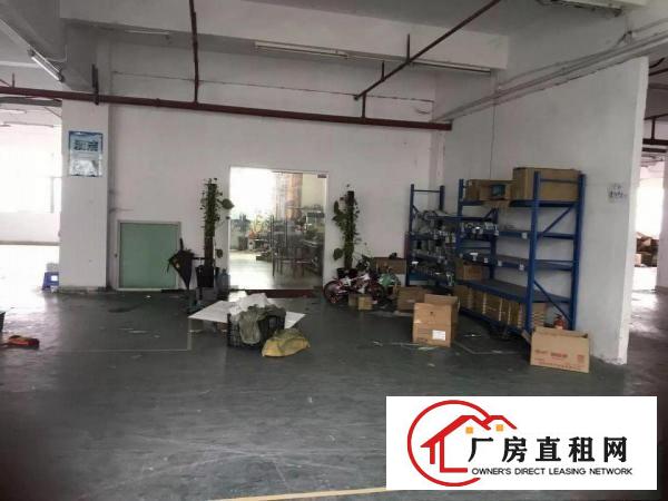 
塘厦新出带精装修2楼厂房703平方火热招租
