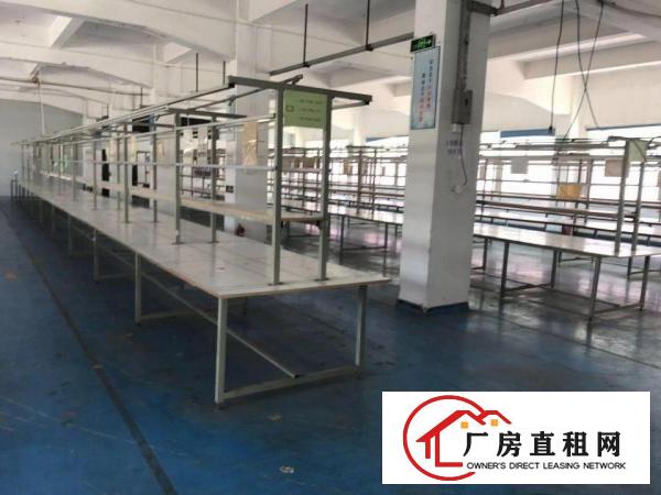 
塘厦成熟工业区全新二楼厂房2083平方超实惠招租