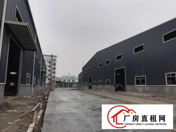 
塘厦临深全新钢构独院21002滴水10米招租