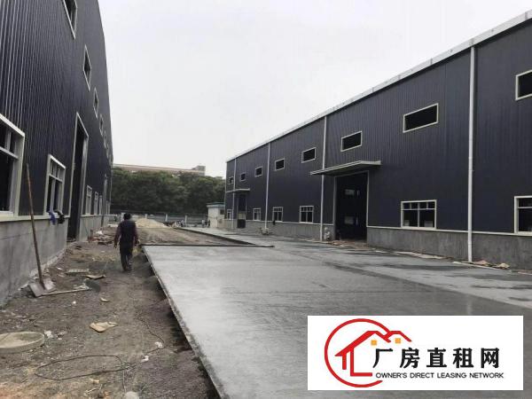
塘厦临深全新钢构独院21002滴水10米招租