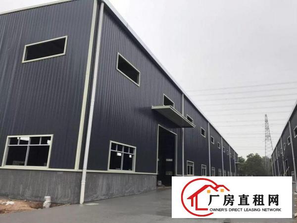 
塘厦临深全新钢构独院21002滴水10米招租