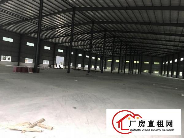 
塘厦临深全新钢构独院21002滴水10米招租