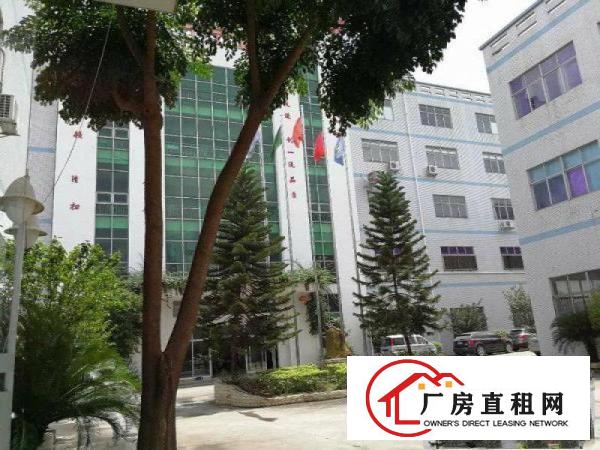 
高端豪华装修3300平方中央空调办公设施一应俱全