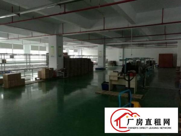 
高端豪华装修3300平方中央空调办公设施一应俱全