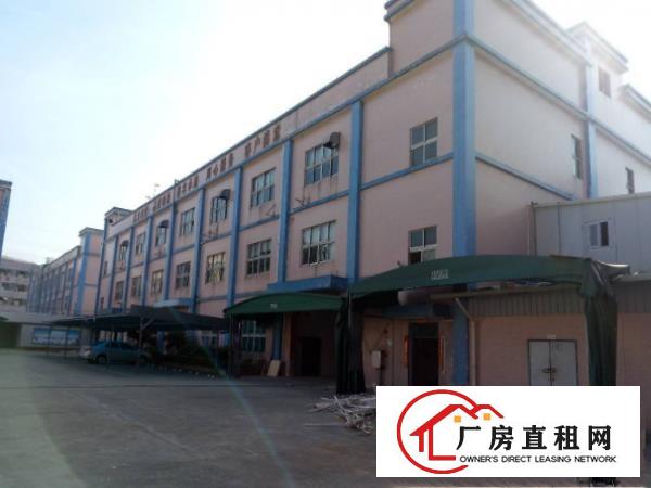 
塘厦新出标准独院厂房二楼800平米带现成装修分租