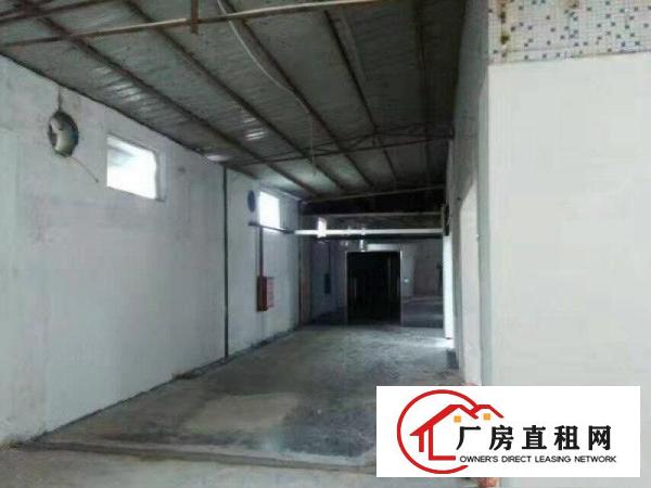 
塘厦四村工业区，单一层独院铁皮厂房出租1000平方
