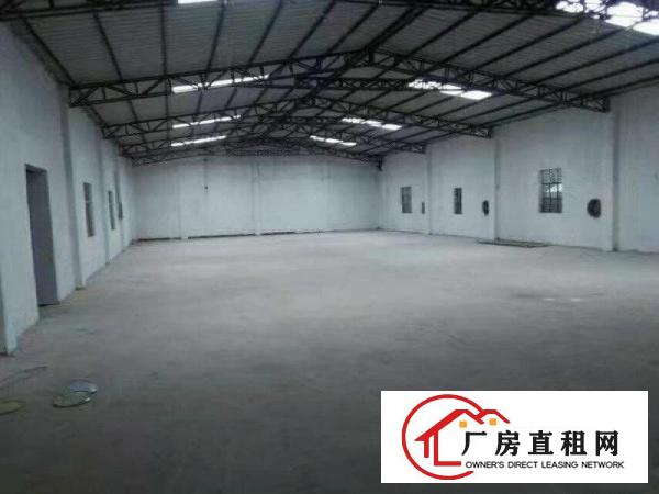 
塘厦四村工业区，单一层独院铁皮厂房出租1000平方