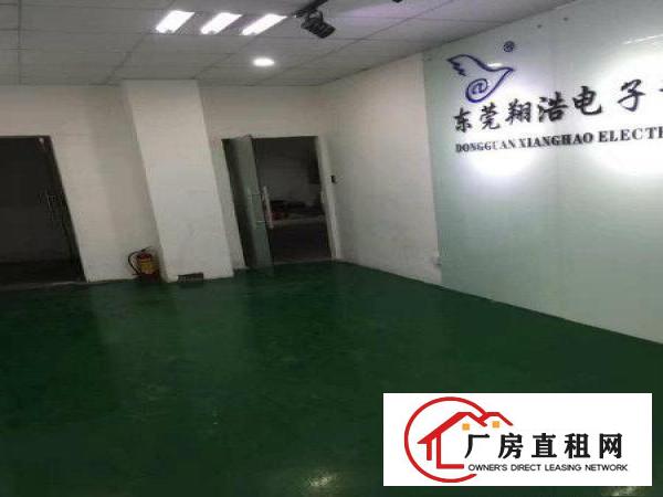 
塘厦龙背岭标准一楼厂房500平方高度5米可装行车