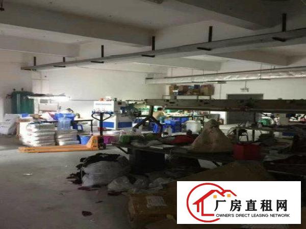 
塘厦龙背岭标准一楼厂房500平方高度5米可装行车