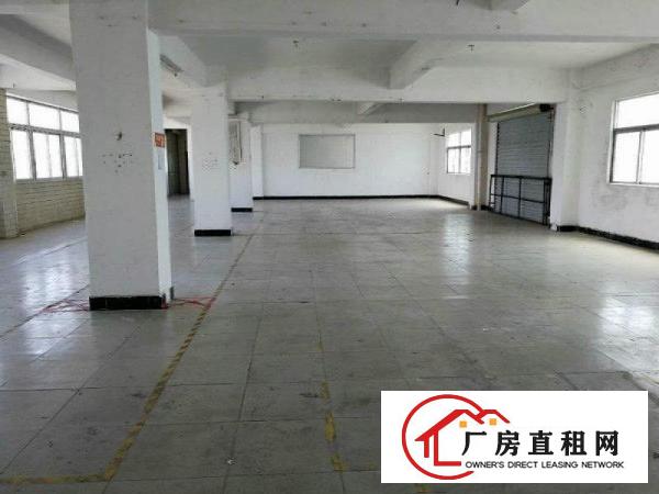 
塘厦石马原房东独栋厂房出租1600平方形象堪比酒店