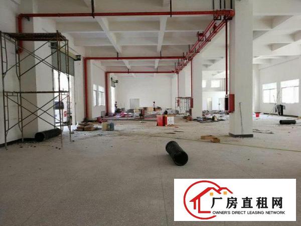 
塘厦石马原房东独栋厂房出租1600平方形象堪比酒店