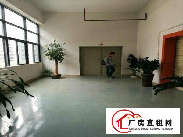 
塘厦振兴围新出独院厂房一楼2700平现成办公可分租