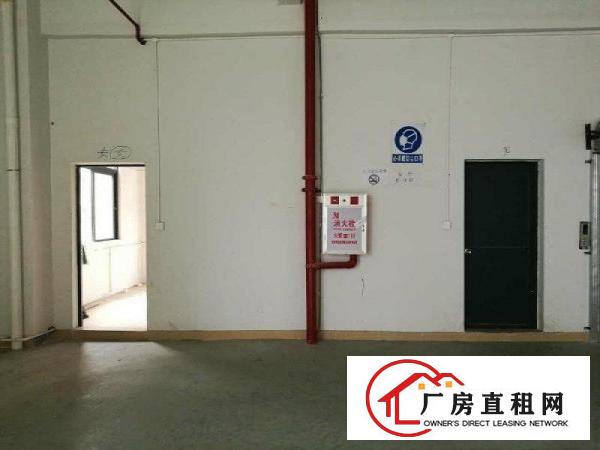 
塘厦振兴围新出独院厂房一楼2700平现成办公可分租