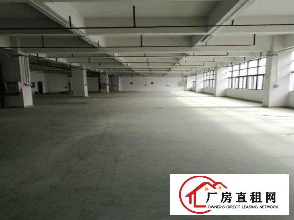 
塘厦振兴围新出独院厂房一楼2700平现成办公可分租