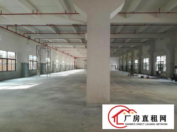 
塘厦塘新独院厂房招租，优质厂房，每层2500，