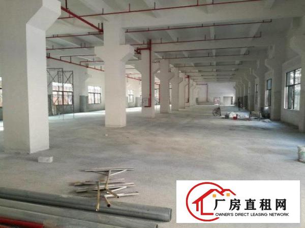 
塘厦塘新独院厂房招租，优质厂房，每层2500，