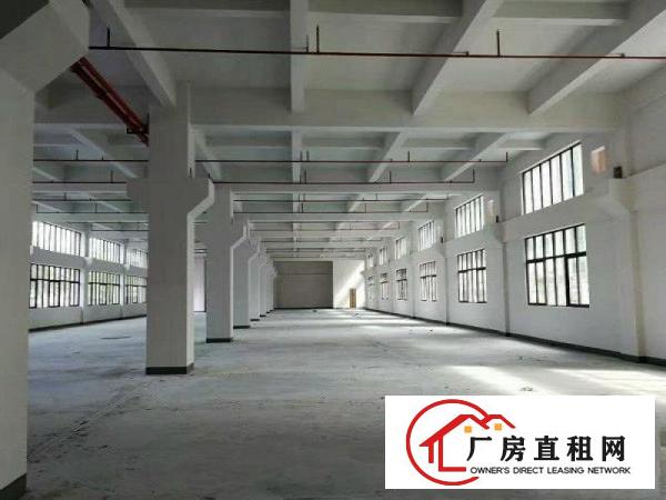 
塘厦林村推出独院8300平豪华装修配套齐全