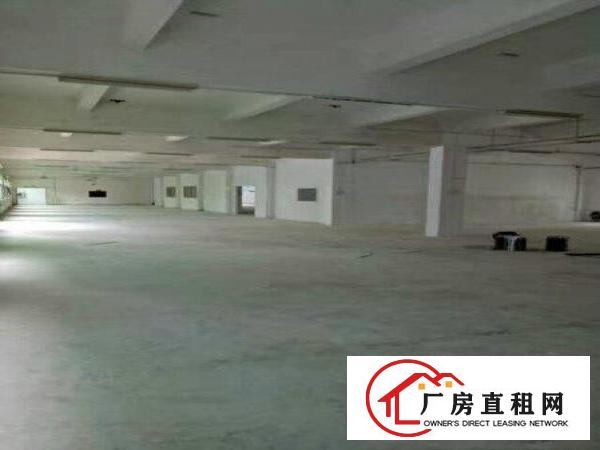 
塘厦龙背岭新出独院厂房4900平方办公楼600平方