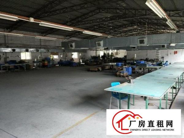 
塘厦莆心湖高速路口单一层钢构厂房1200平米