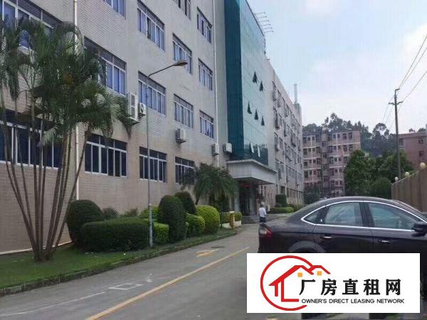 
塘厦清湖头新出二楼无尘车间2500平全部隔好精装修