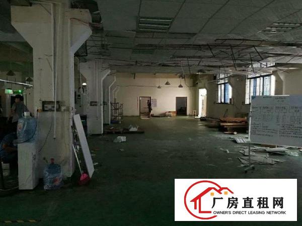 
塘厦石马全新独门独院厂房一楼900平方高6米有牛角