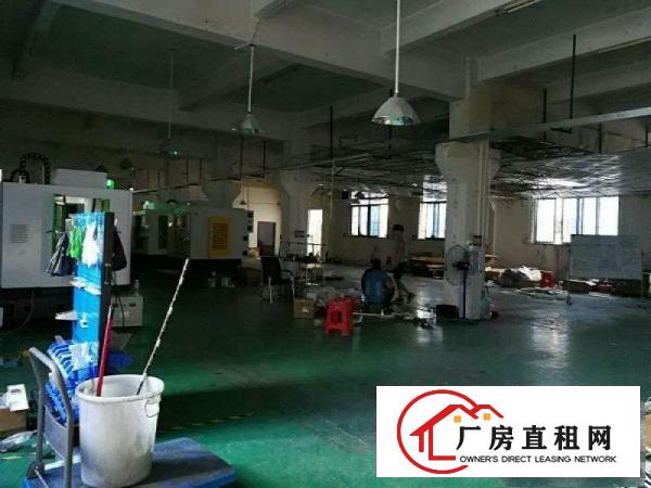 
塘厦石马全新独门独院厂房一楼900平方高6米有牛角