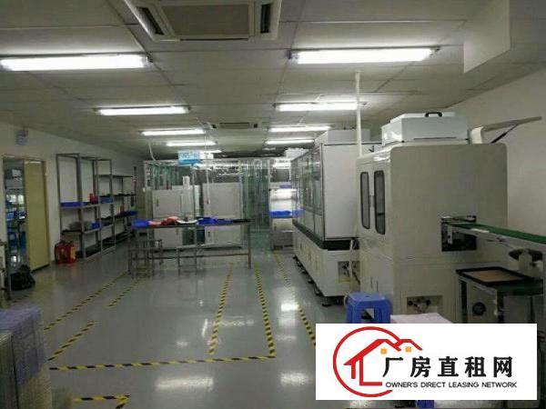 
塘厦沙湖新出厂房二楼1500平精装修办公室