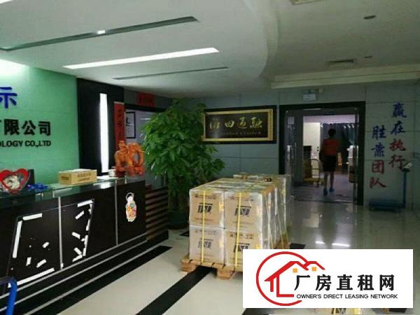 
塘厦沙湖新出厂房二楼1500平精装修办公室
